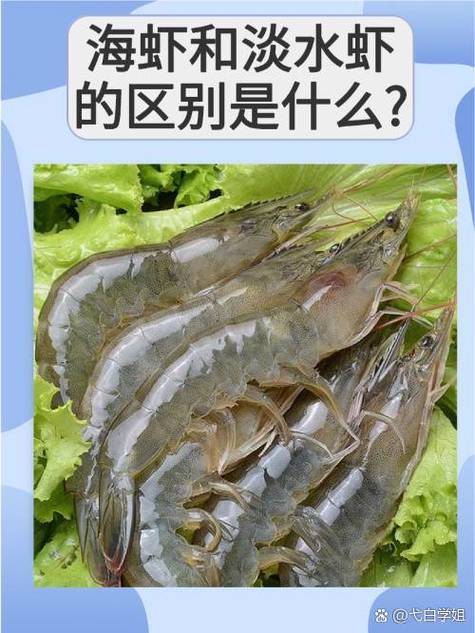 新澳今天最新资料大全和央视曝光云养殖骗局与央视曝光云养殖骗局是真的吗