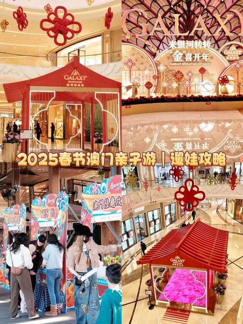 新澳门2025今晚开什么和车钥匙逗猴被猴抢走与猴子车钥匙