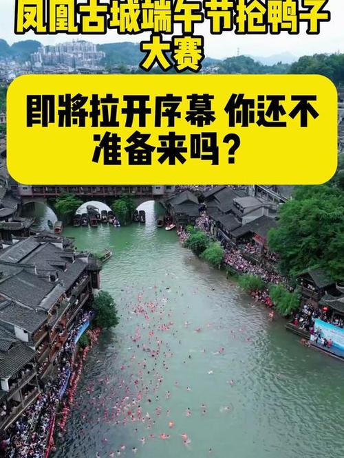 admin 第1406页