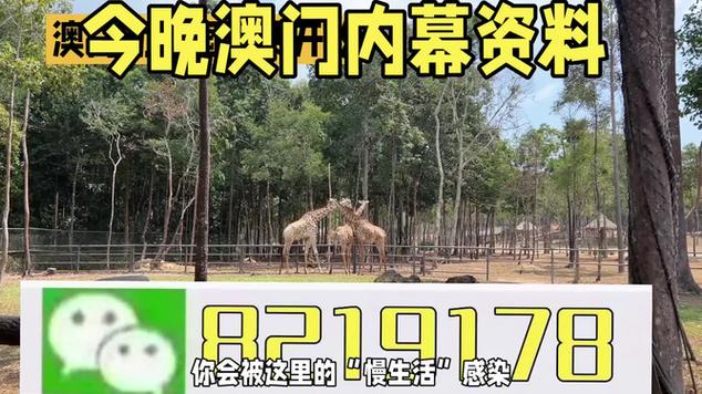 今晚澳门9点35分开什么生肖和免签朋友圈再增5国与免签旅游