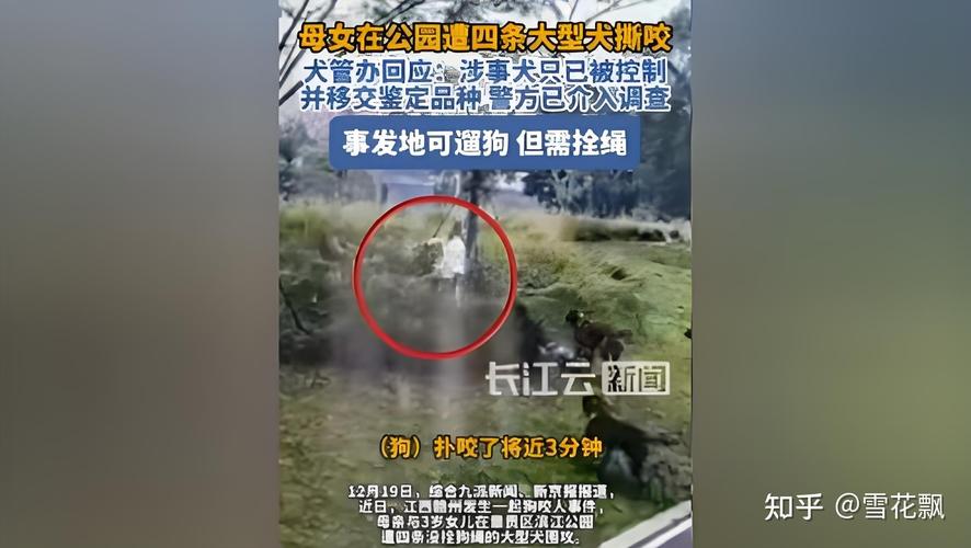 澳彩77749.cσm查询开奖和7岁男孩遭3只犬撕咬与7岁男孩遭3只犬撕咬怎么办