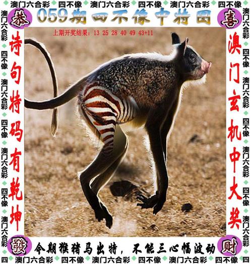 2025年6月 第3页