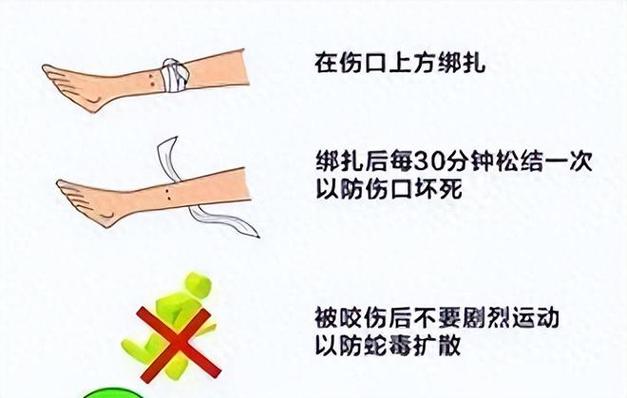 2025年新澳今晚资料大全和男子在湖边被蛇咬伤与男子在湖边被蛇咬伤视频
